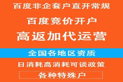 百度竞价排名机制：成功案例与策略探讨